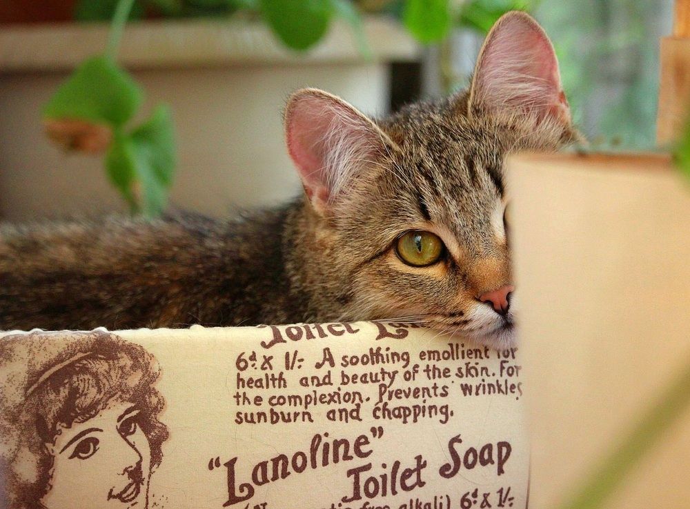 Photograph by Ирина Саттарова