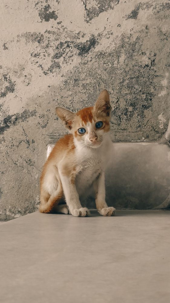 Photograph by Venu Peyyala