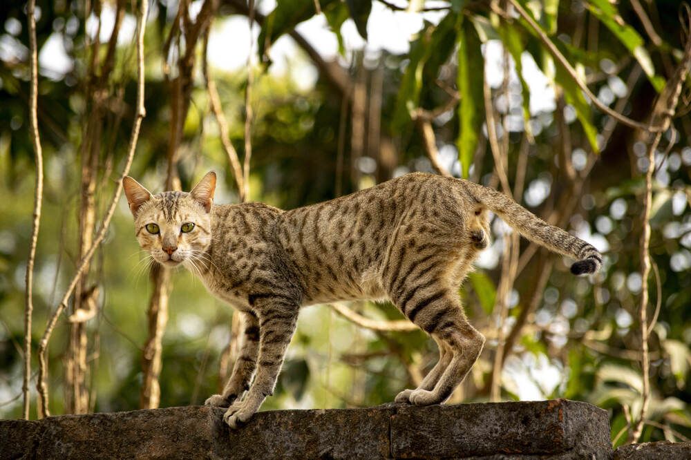 Photograph by shashiranjan prakash