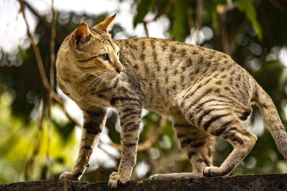 Photograph by shashiranjan prakash