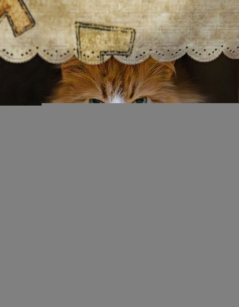 Photograph by Роман Дудкин