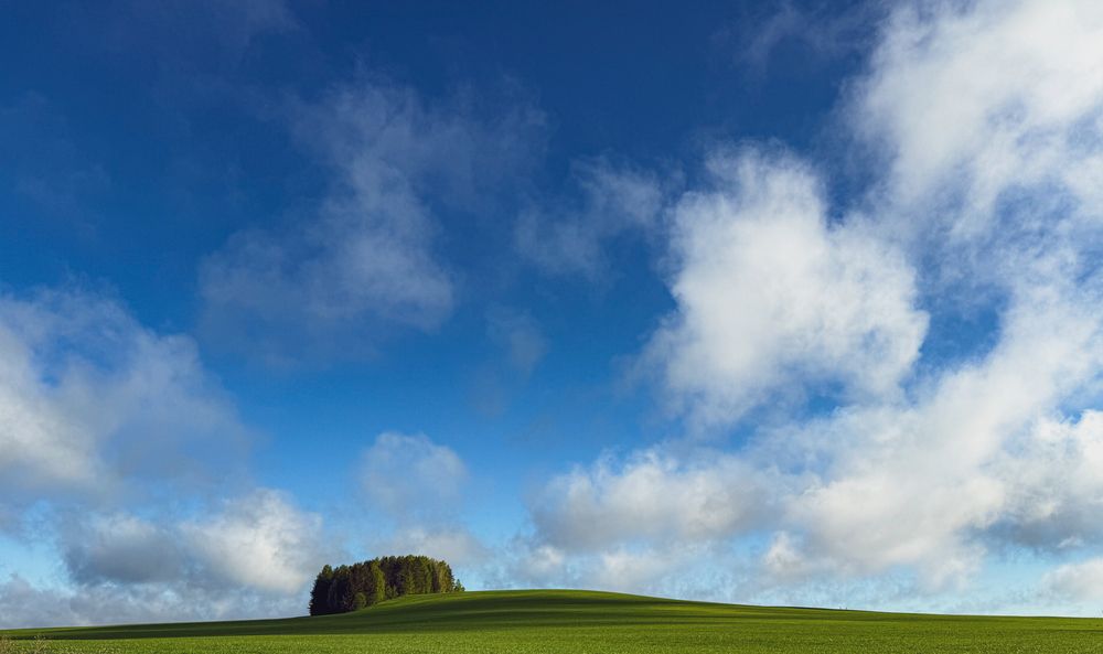 Photograph by Анатолий Вахрушев