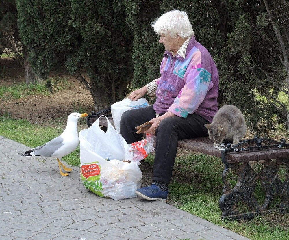 Photograph by Павел