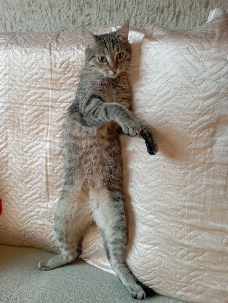 Фотография автора Natalia Khodina