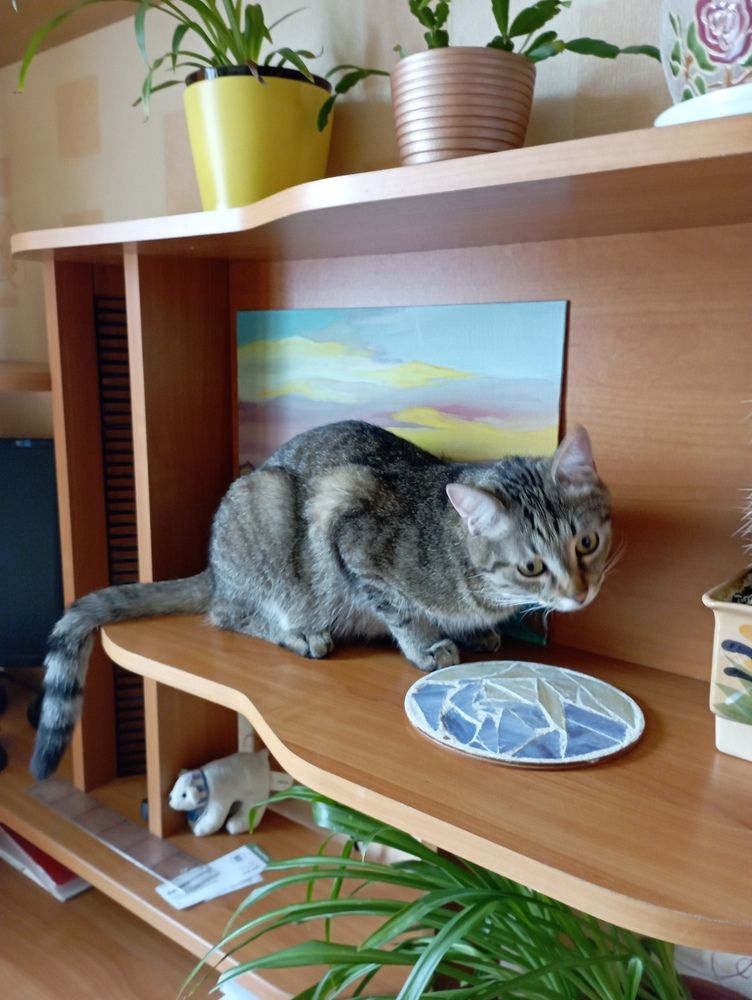 Фотография автора Natalia Khodina