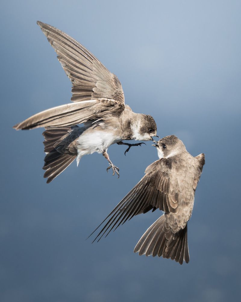 Photograph by Поляков Михаил