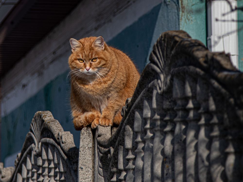 Photograph by Дмитрий Давидов