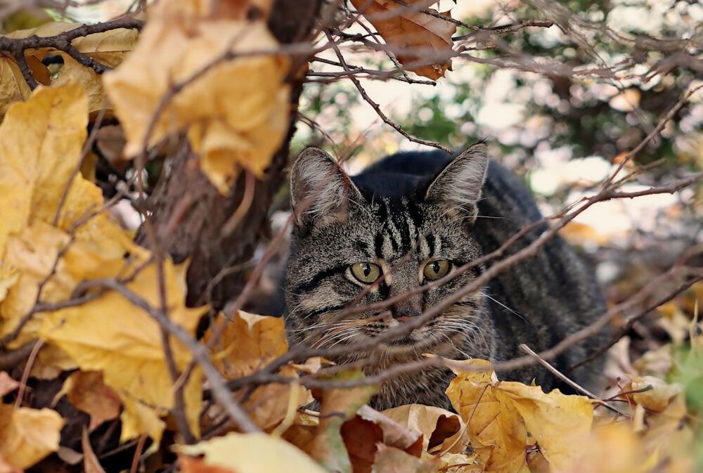 Photograph by Sergey Platonoff