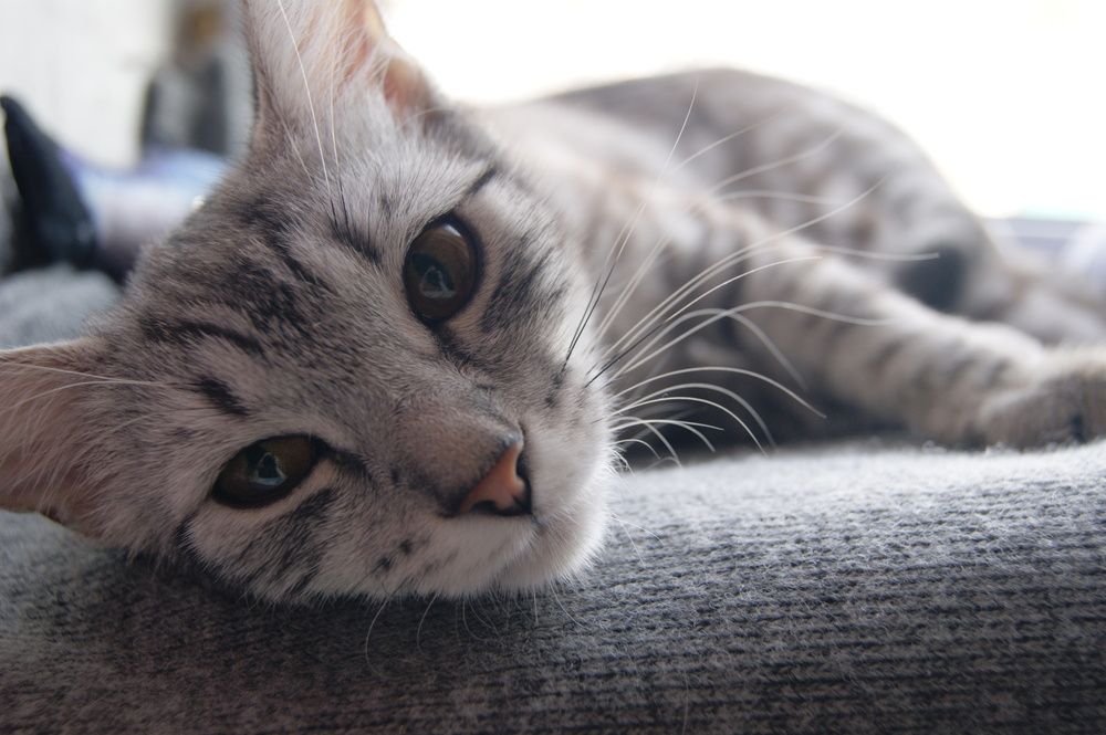 Photograph by Александра Никитина