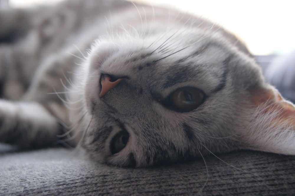 Photograph by Александра Никитина