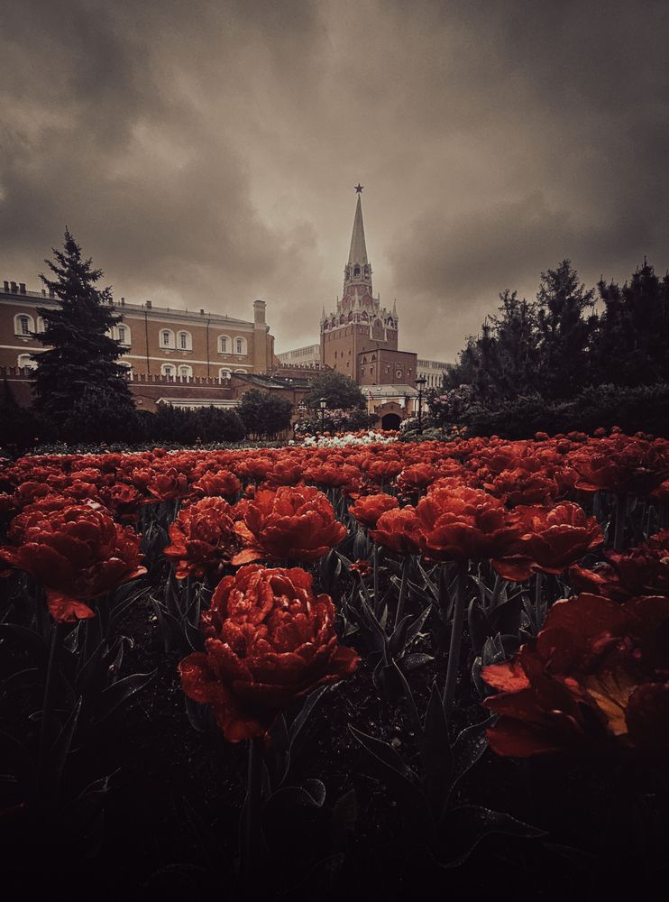 Photograph by Дмитрий Спидченко