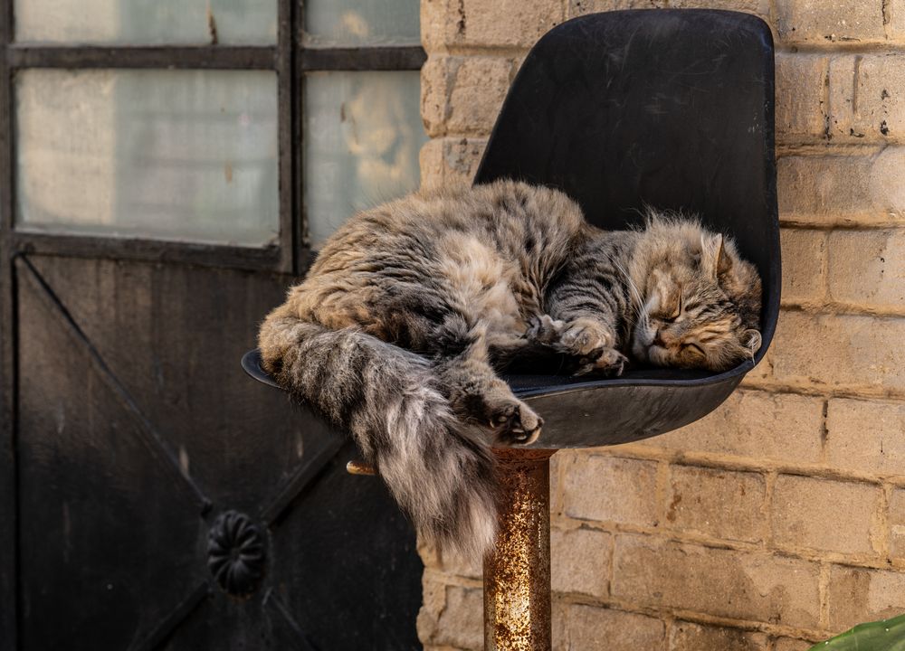 Photograph by Shulkin Igor