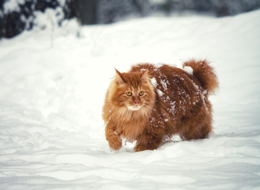 Photograph by Татьяна