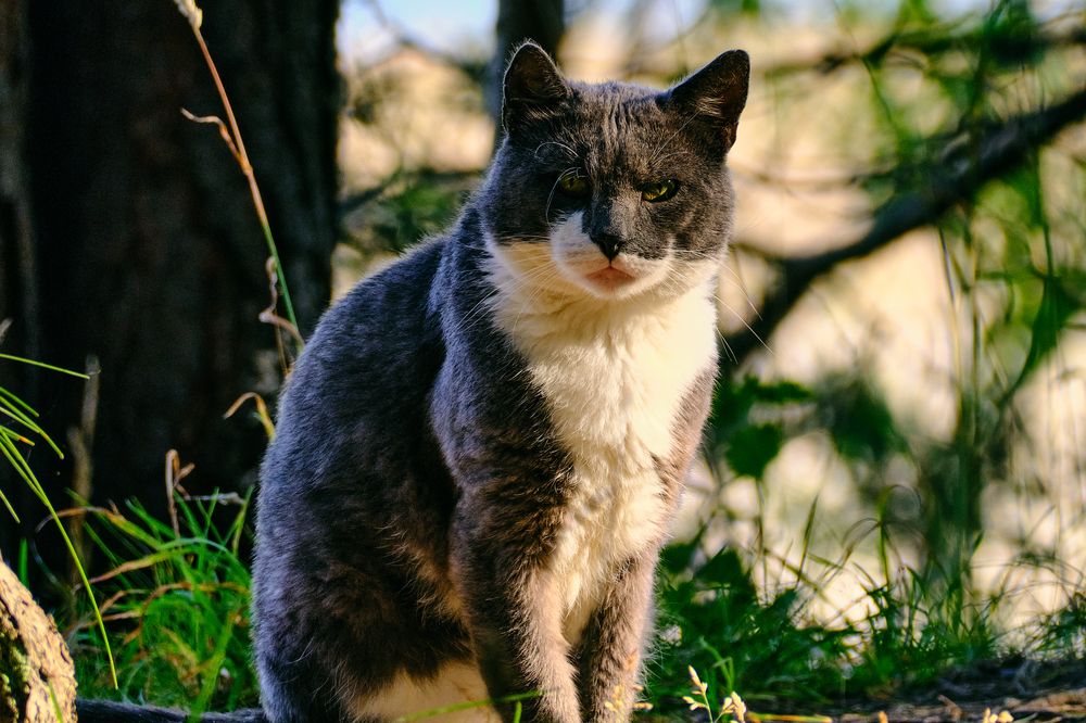 Фотография автора VIZO