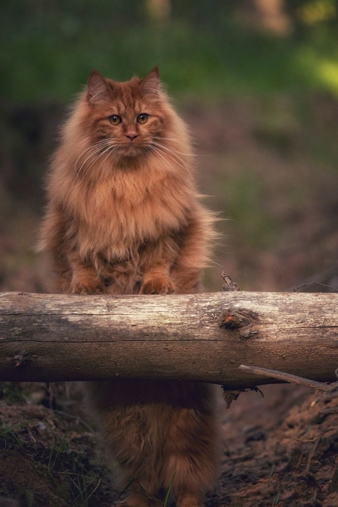 Photograph by Татьяна