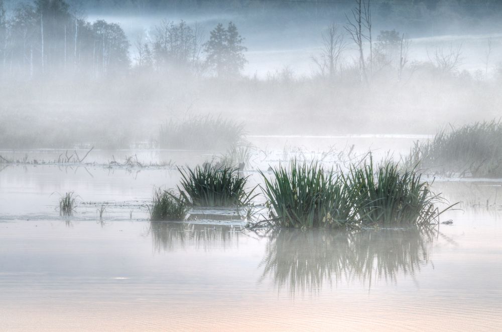 Photograph by Андрей Кузнецов