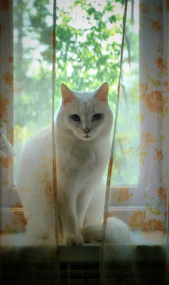 Photograph by Сергей Зайцев