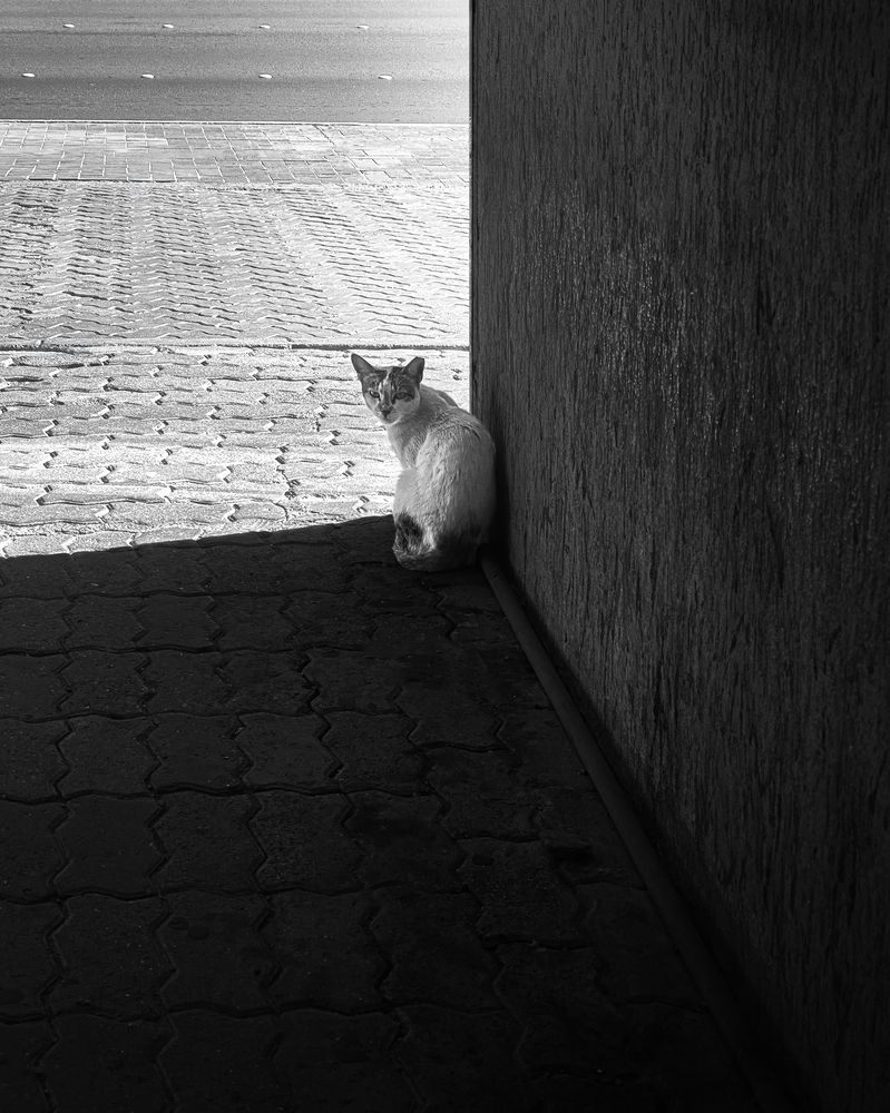 Photograph by Jayakumar MN