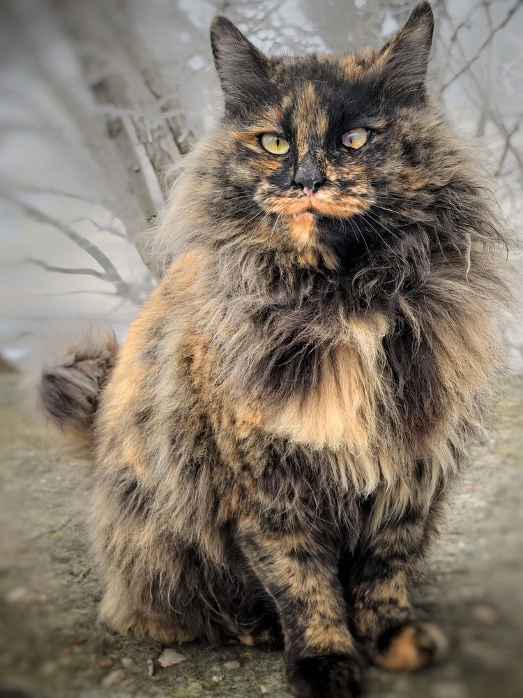 Photograph by Кривенко Владимир