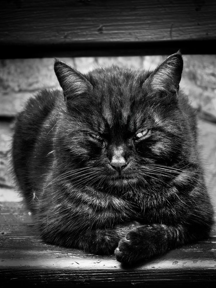 Photograph by Кривенко Владимир