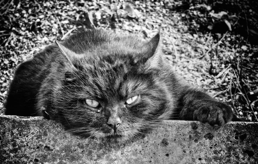 Photograph by Кривенко Владимир