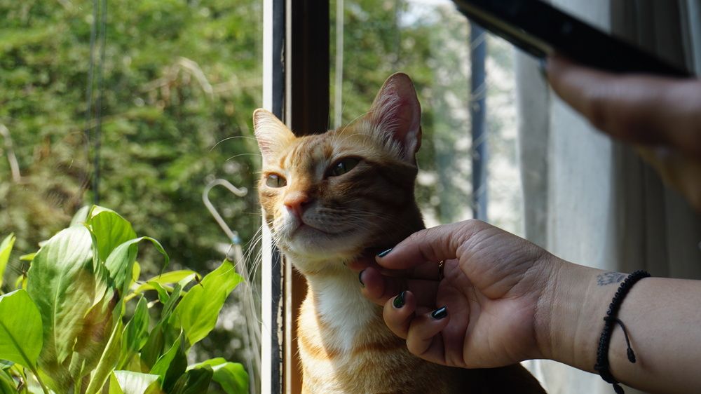 Фотография автора Nam Phạm