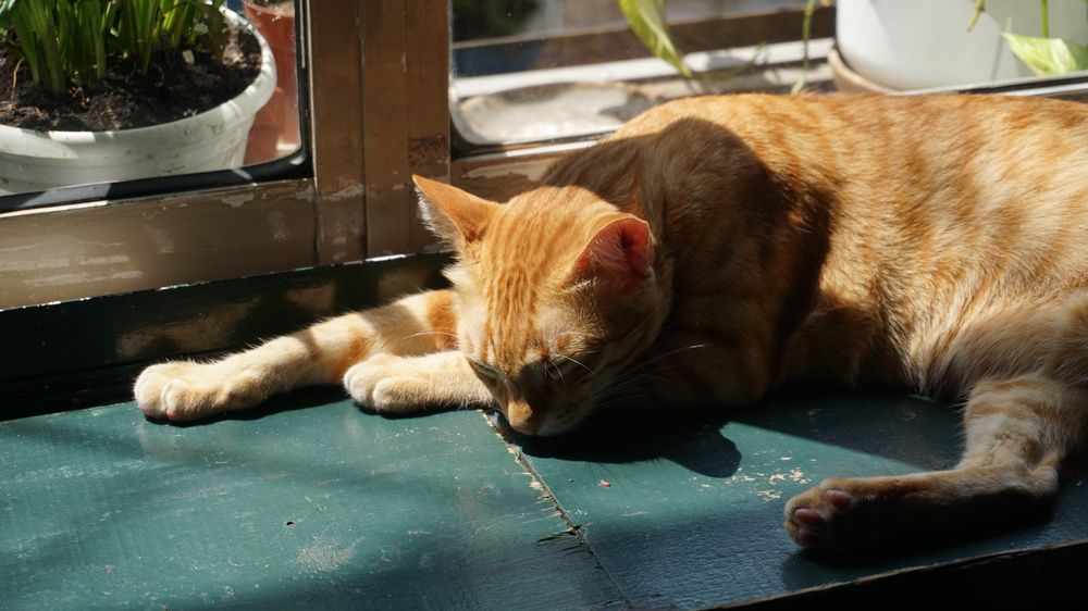 Фотография автора Nam Phạm