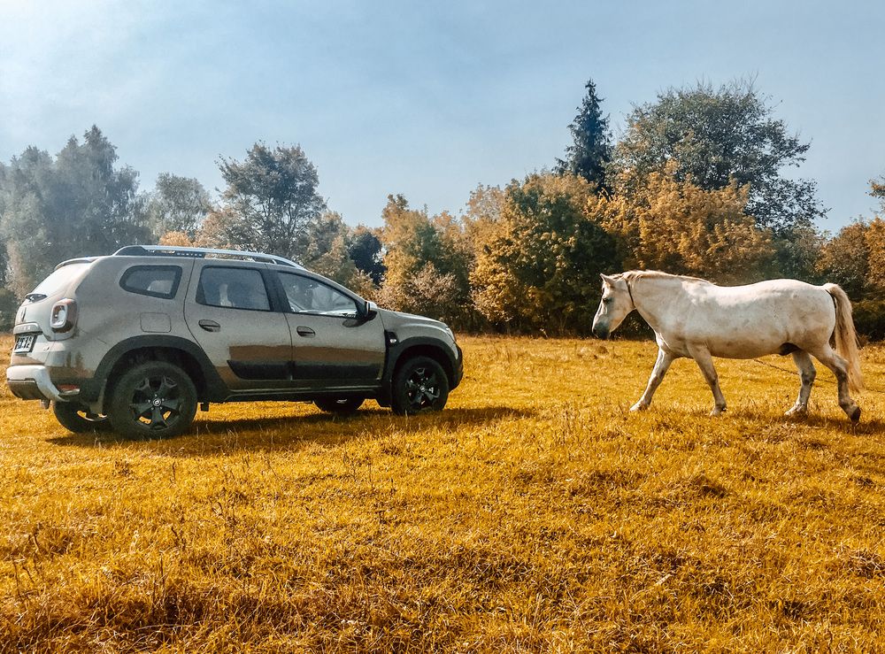 Photograph by Марина