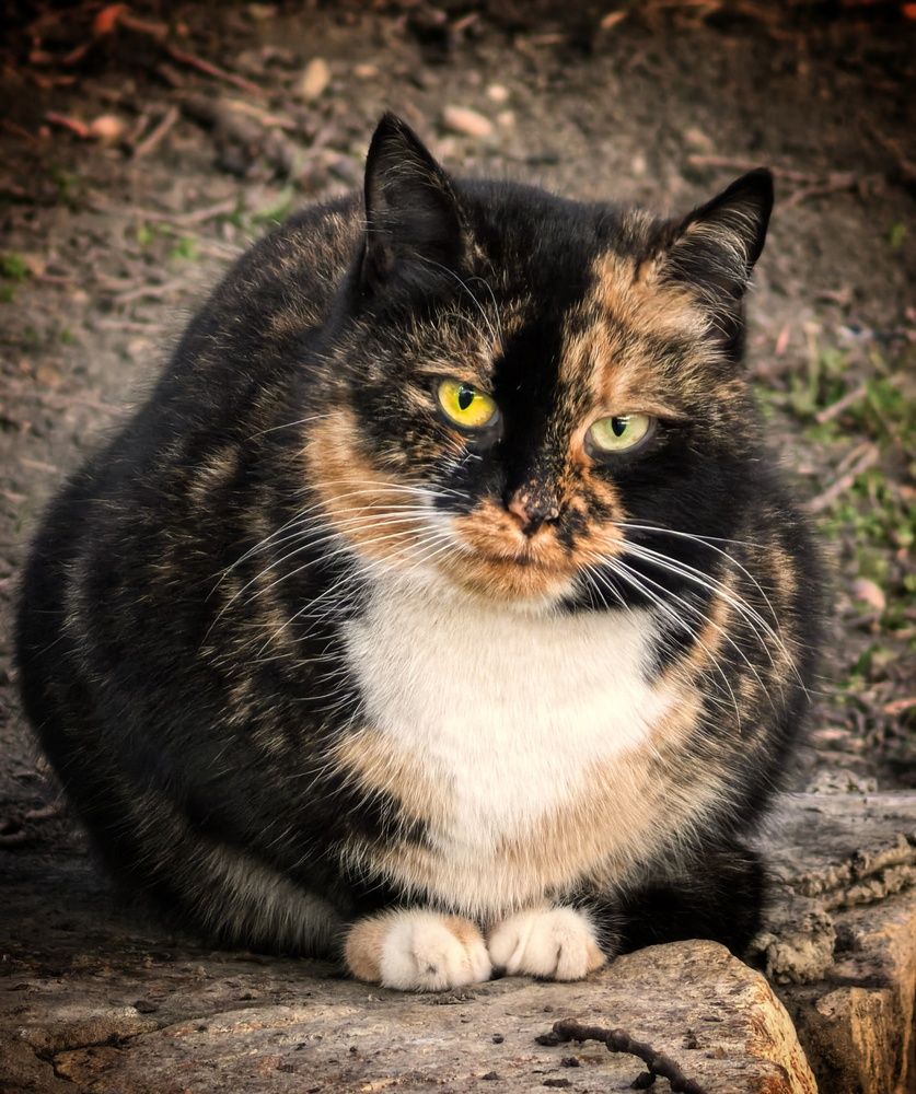 Photograph by Кривенко Владимир