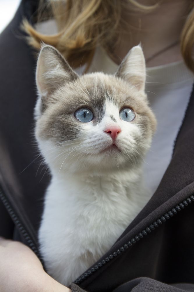 Фотография автора Анастасия Додрова