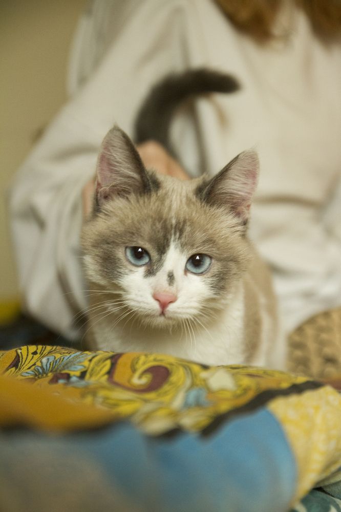 Фотография автора Анастасия Додрова