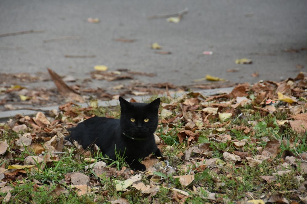 Photograph by Евгений Захаров