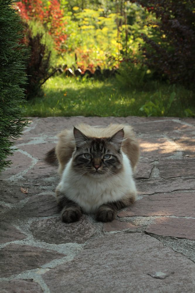 Фотография автора Анастасия Додрова