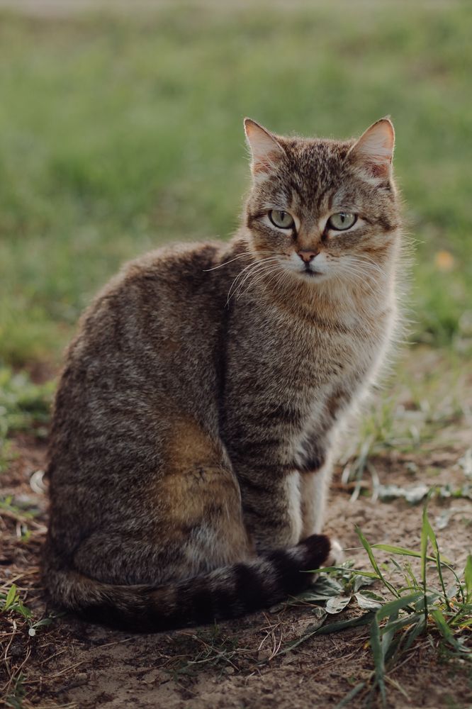 Photograph by Евгения Гуляева