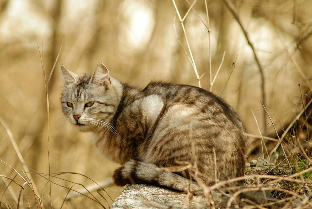 Photograph by Дмитрий Плаксин