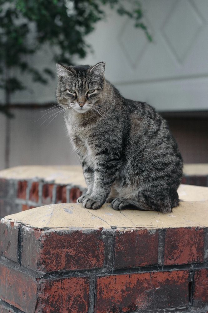 Photograph by Ольга Денисова