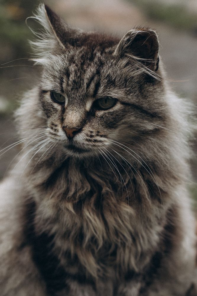 Photograph by Сергей Кутьин