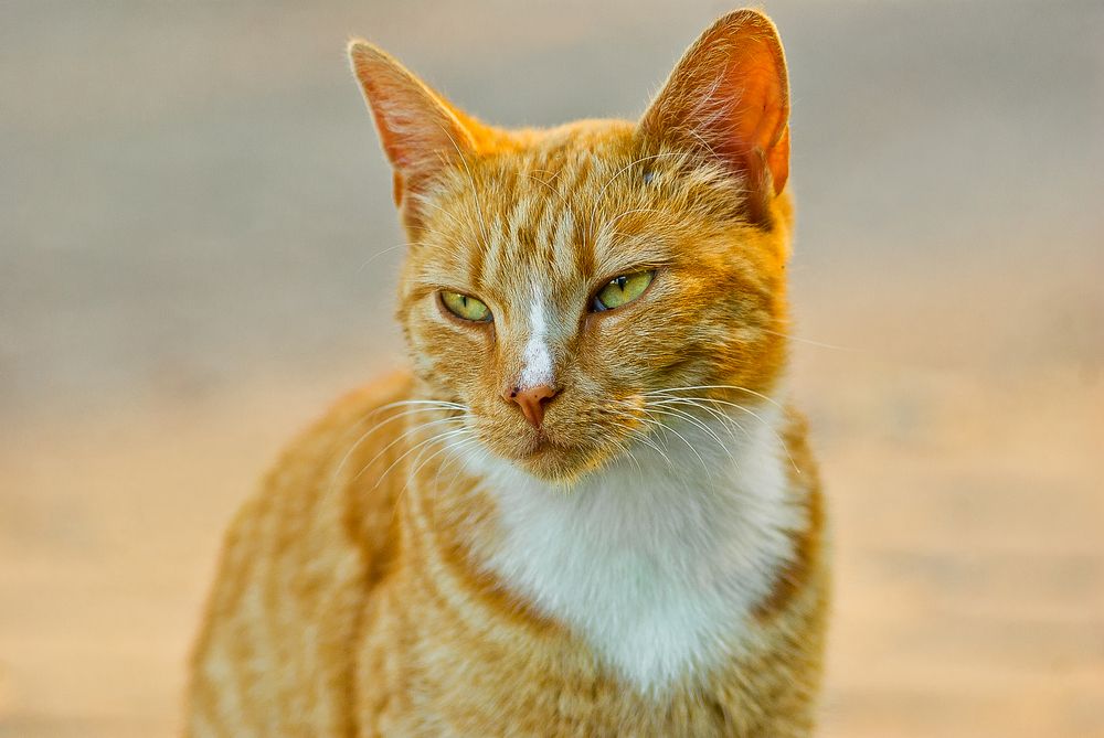 Photograph by Виктория Уварова