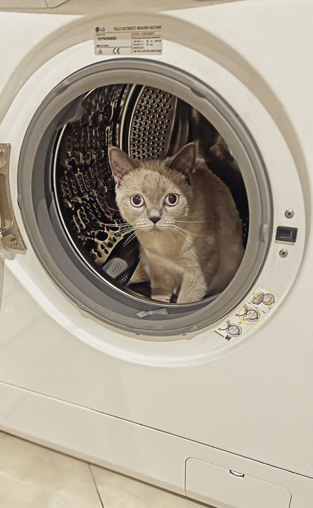 Photograph by Hamidreza zakeri