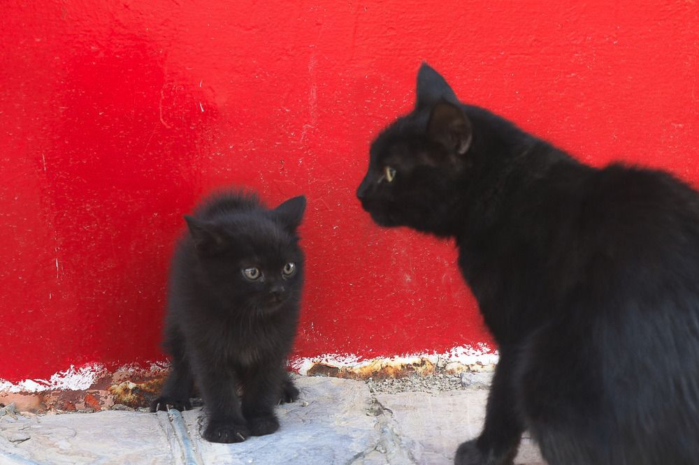 Photograph by Hamidreza zakeri