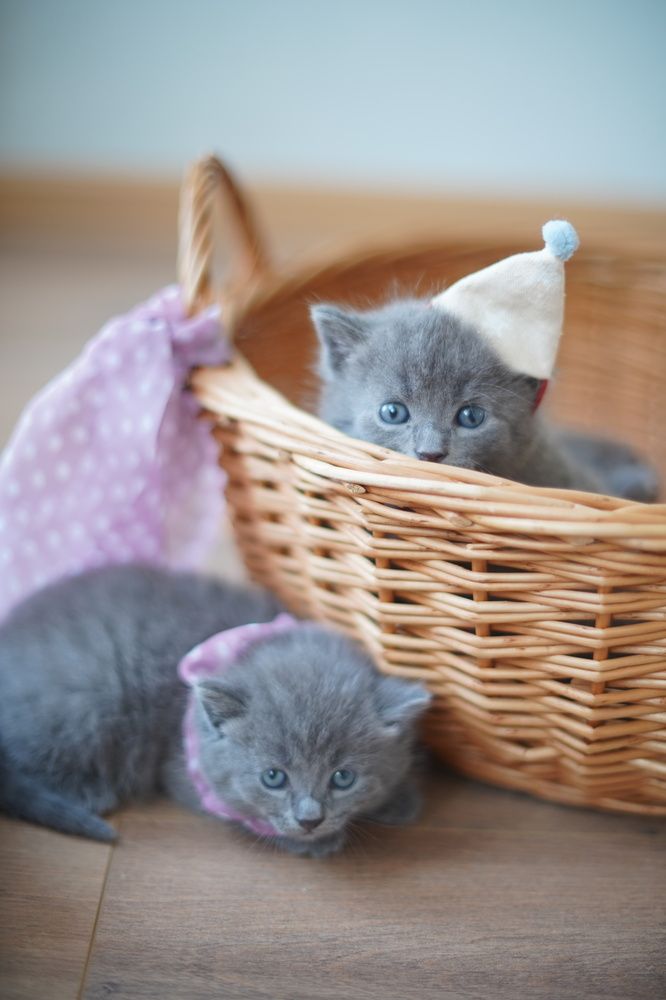 Photograph by Анастасия Позинич