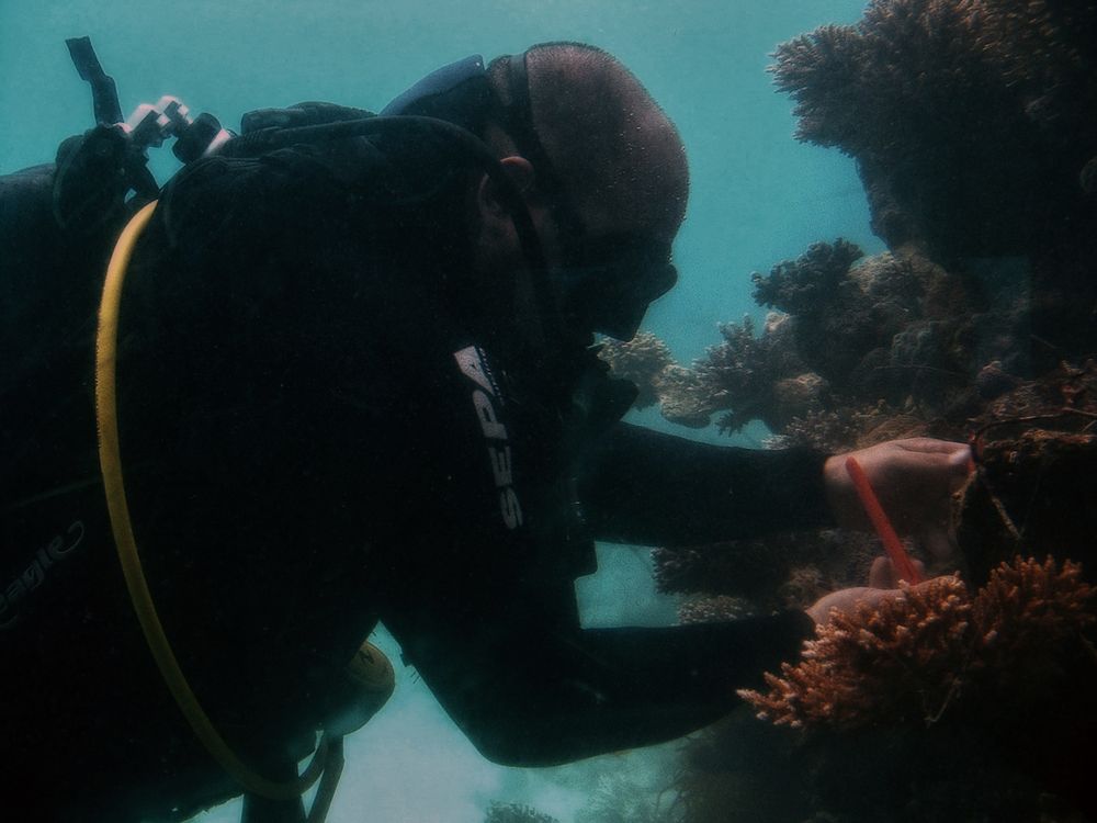 Большой Барьерный риф