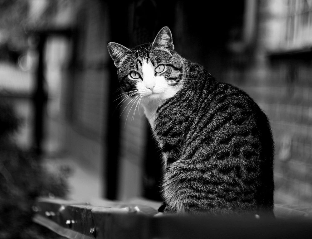 Photograph by Леонид Уральский