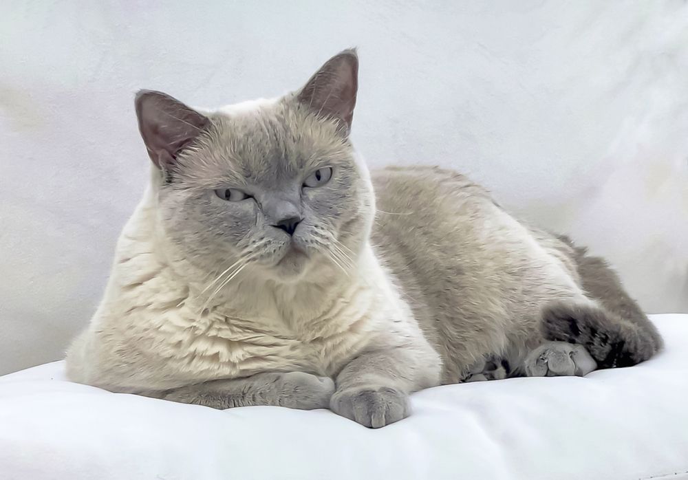 Photograph by Hamidreza zakeri