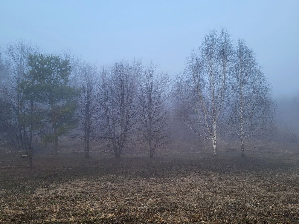 Photograph by Svetlana Korogod