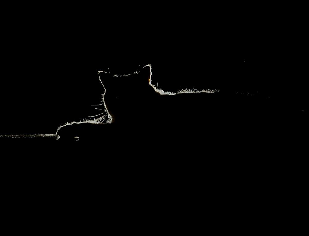 Photograph by Hamidreza zakeri