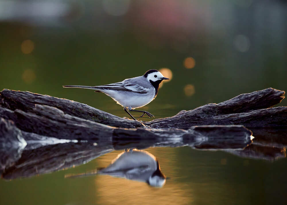 Photograph by Mikhail Khmelevskiy