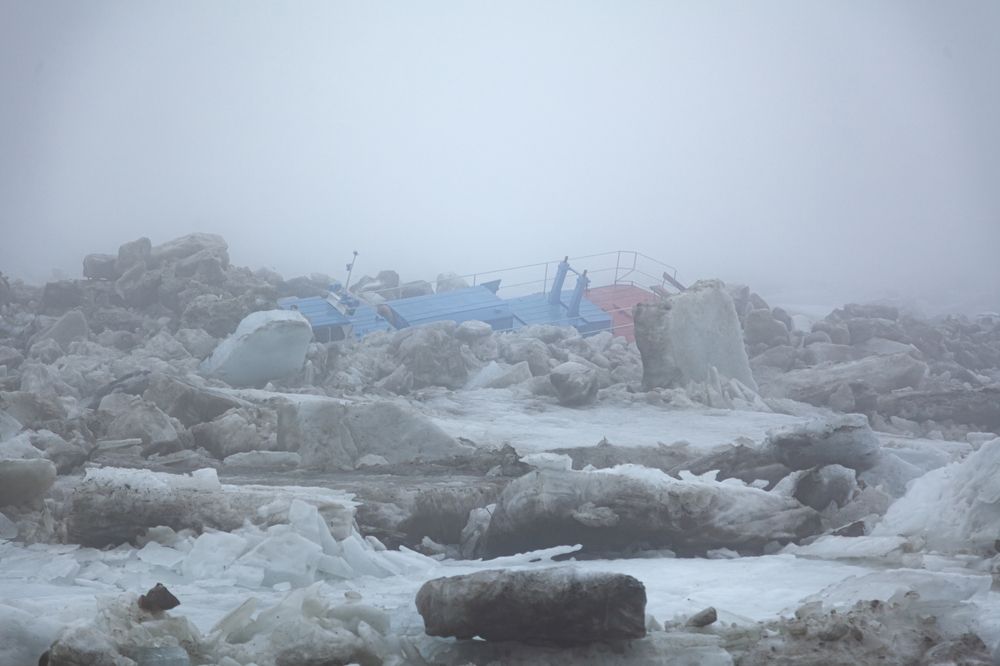 Photograph by Евгения Гуляева