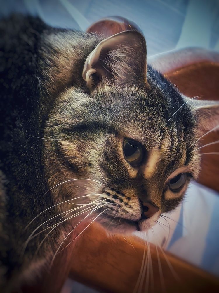 Photograph by Сергей Зайцев