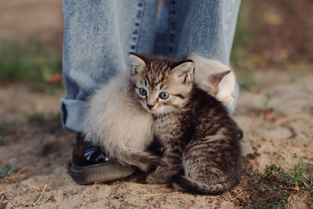 Photograph by Евгения Гуляева